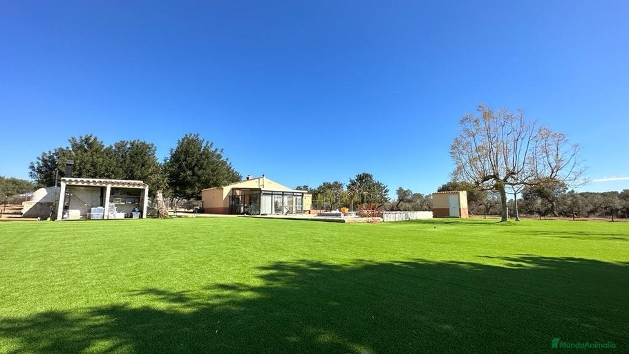 Imagen de galería {{count}}