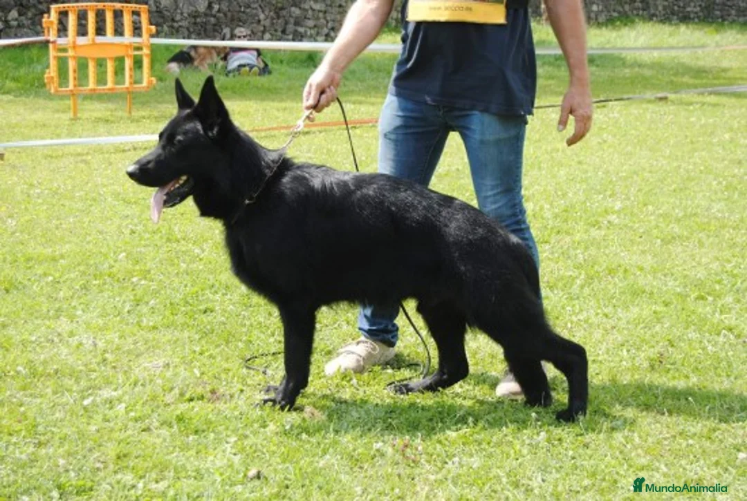 Imagen de galería {{count}}