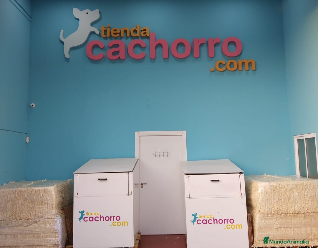 Imagen de galería {{count}}