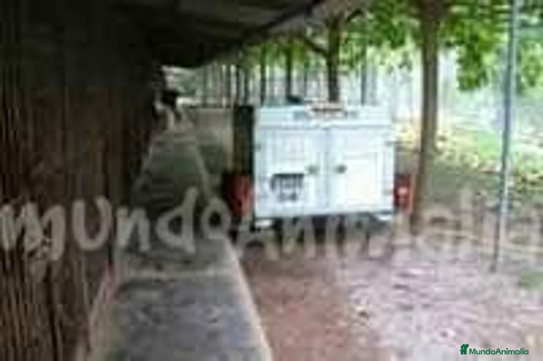 Imagen de galería {{count}}