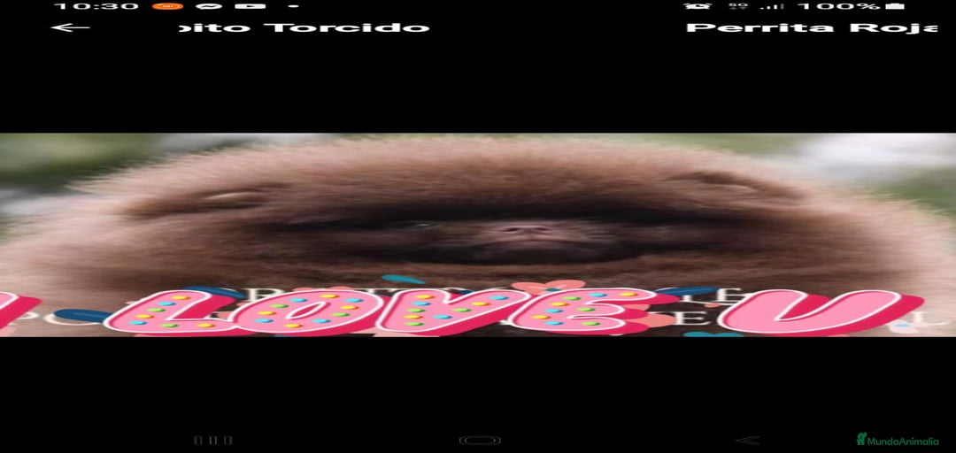 Imagen de galería {{count}}