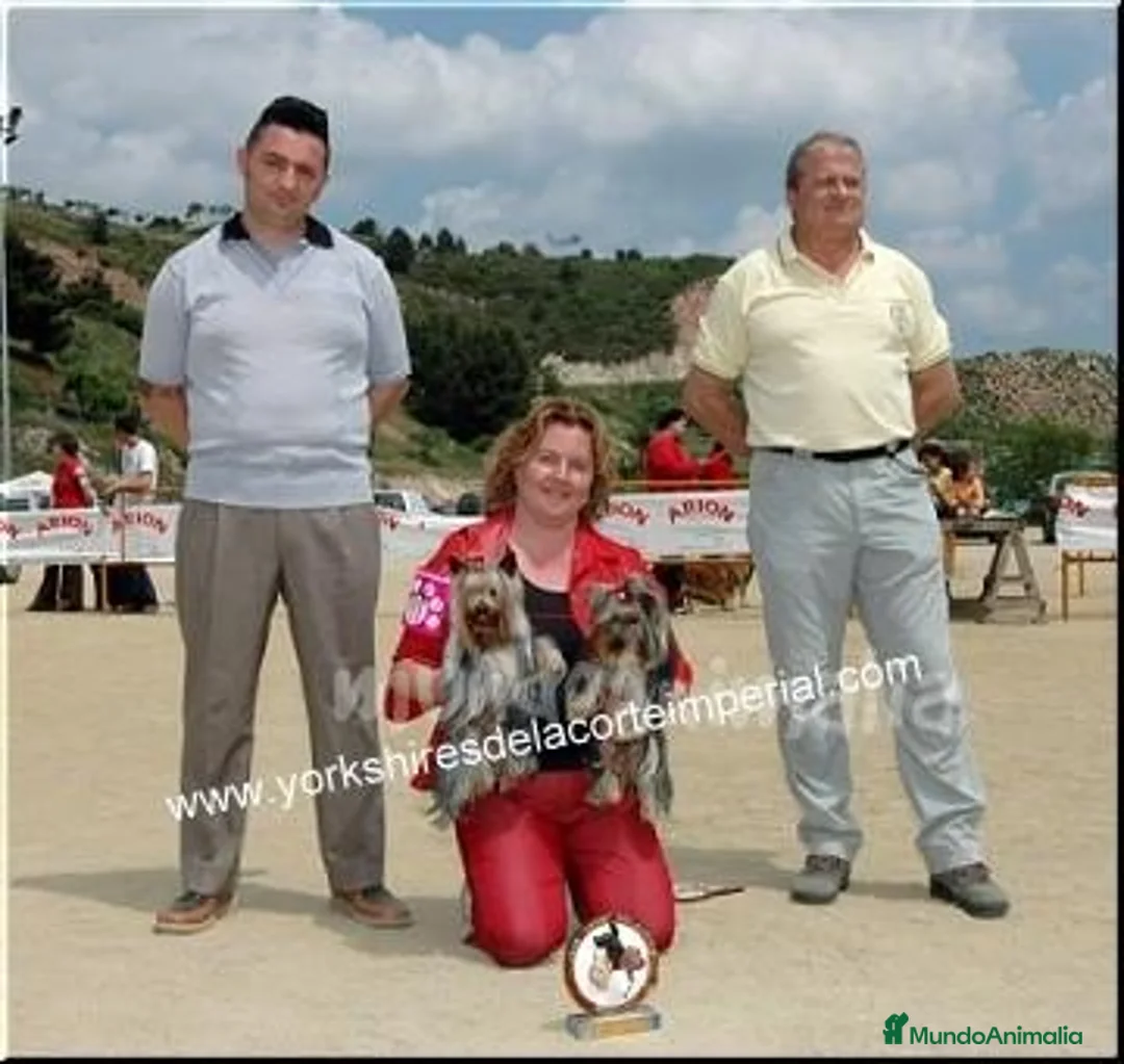 Imagen de galería {{count}}