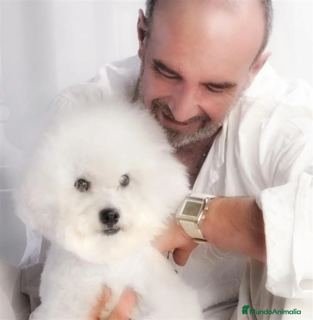 Imagen de galería {{count}}