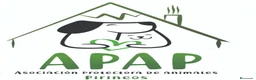 Laika de Siberia Occidental perros en adopcion: RAGNAR busca hogar - Anuncio 4