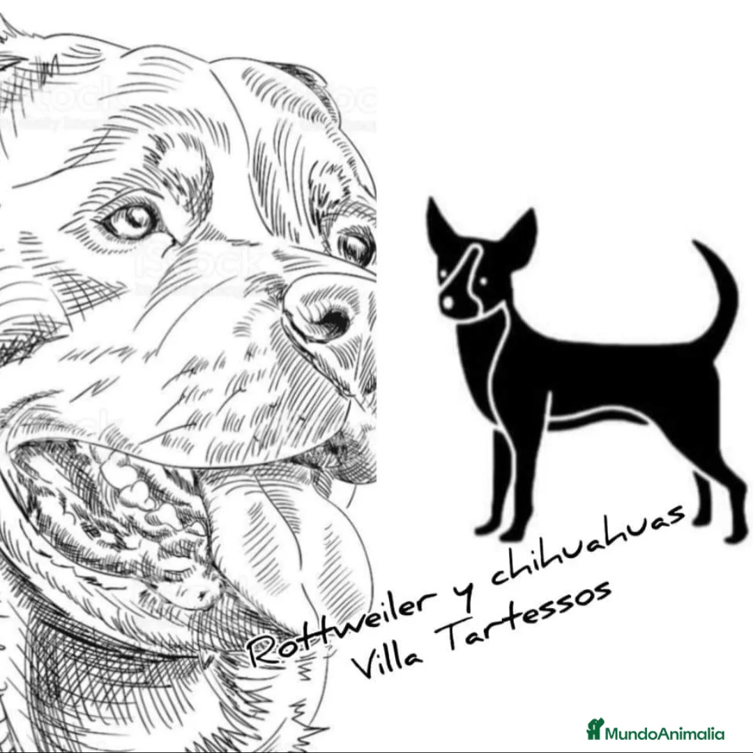 Imagen de galería {{count}}