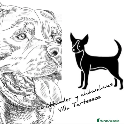 Imagen de galería {{count}}