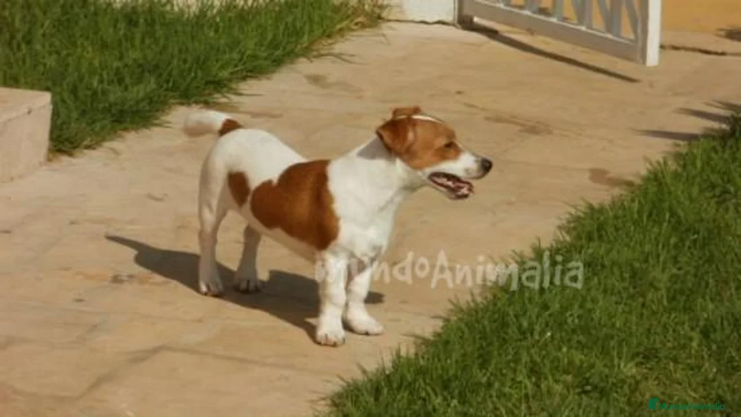 Imagen de galería {{count}}