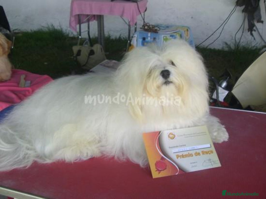 Imagen de galería {{count}}