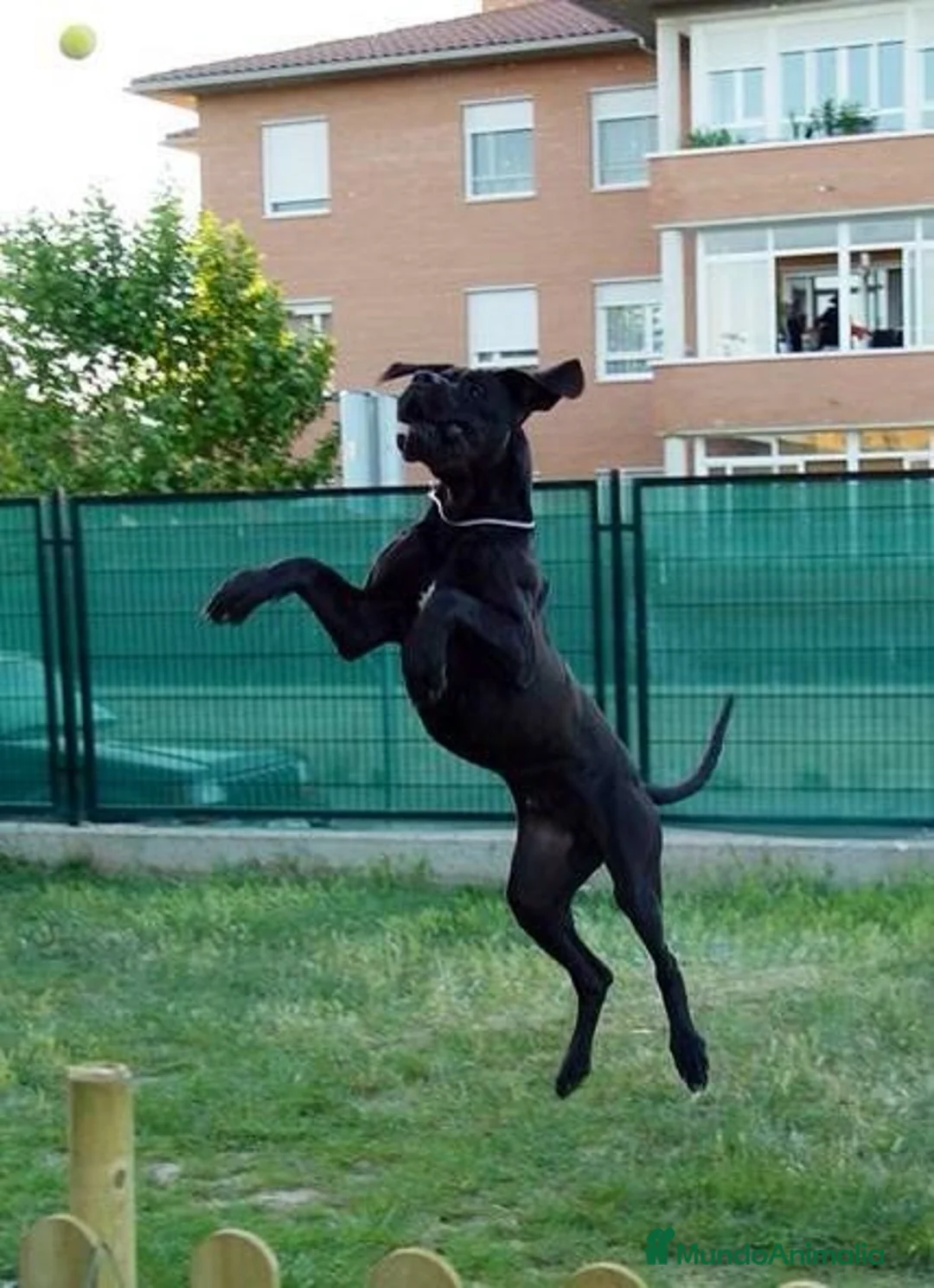 Imagen de galería {{count}}