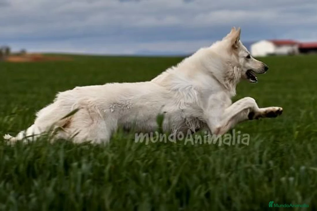 Imagen de galería {{count}}