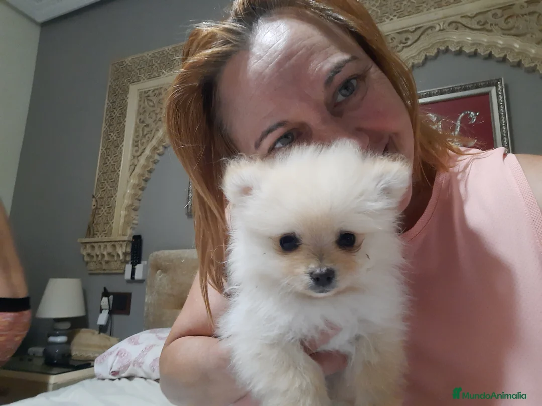 Imagen de galería {{count}}