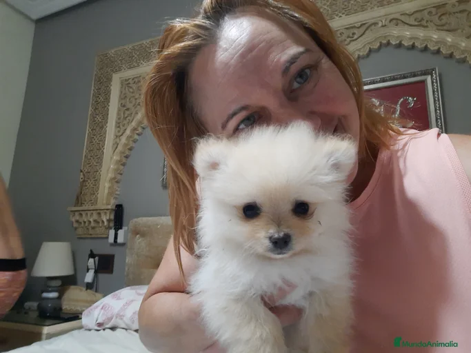 Imagen de galería {{count}}