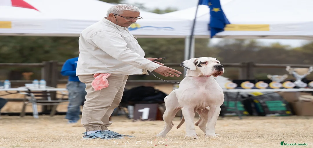 Imagen de galería {{count}}