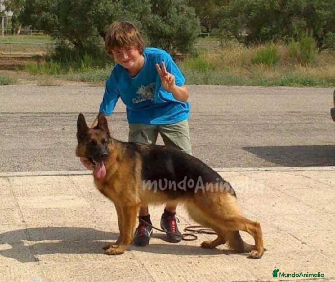 Imagen de galería {{count}}