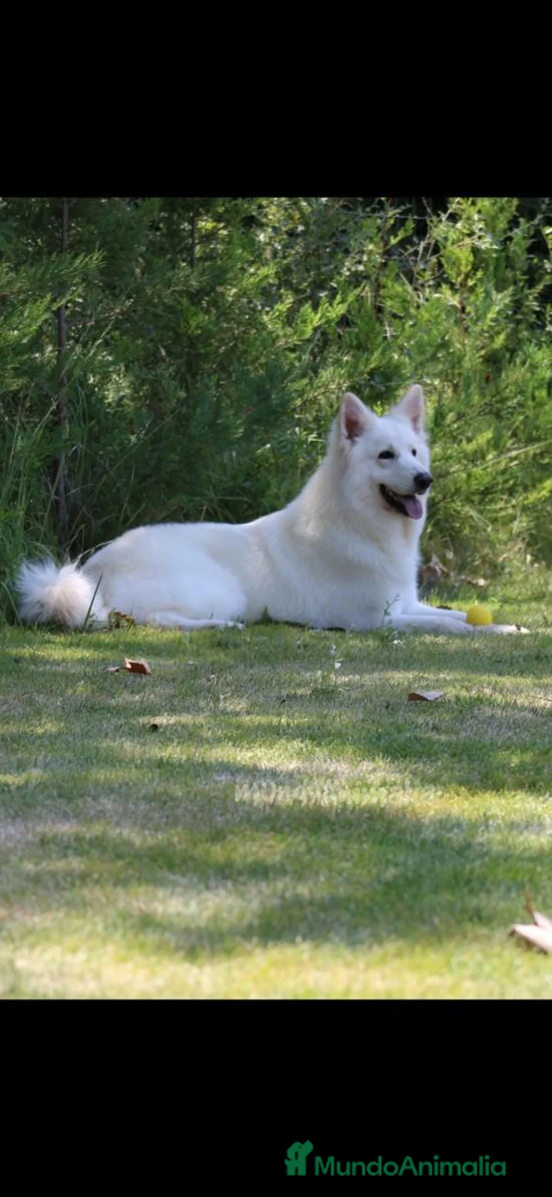 Imagen de galería {{count}}