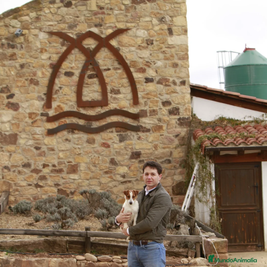 Imagen de galería {{count}}