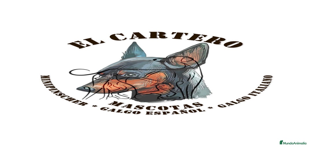 Imagen de galería {{count}}