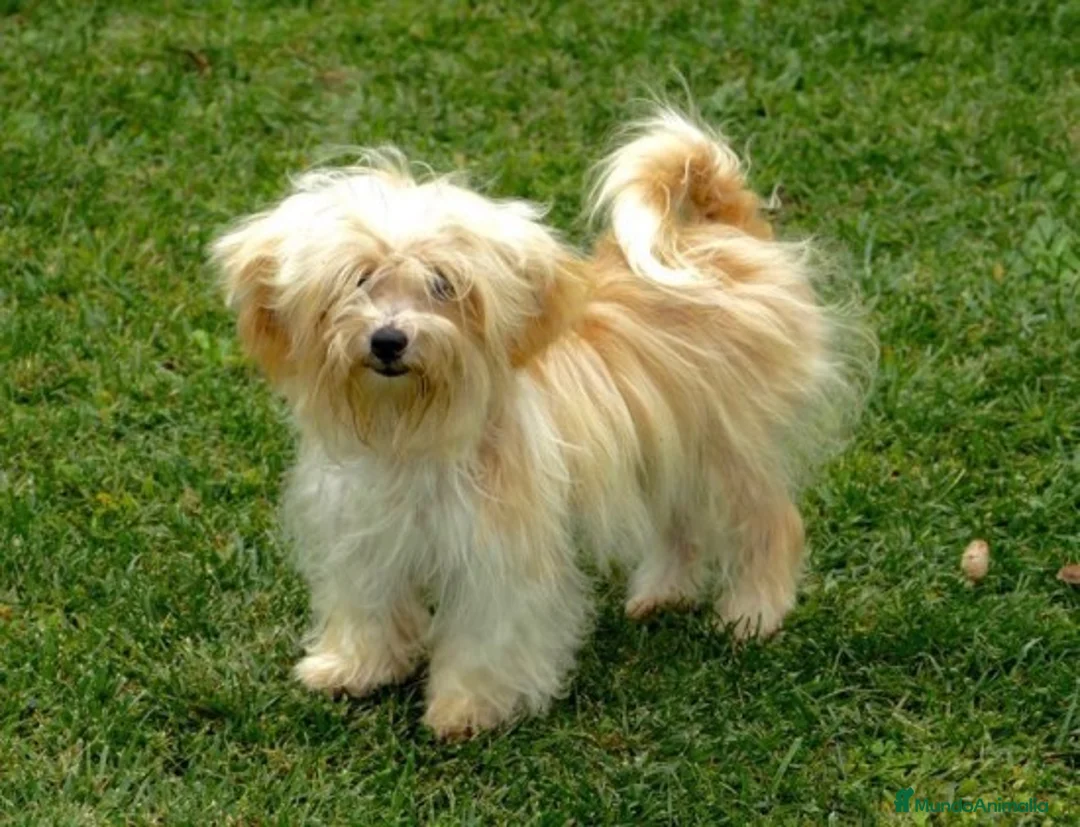 Imagen de galería {{count}}