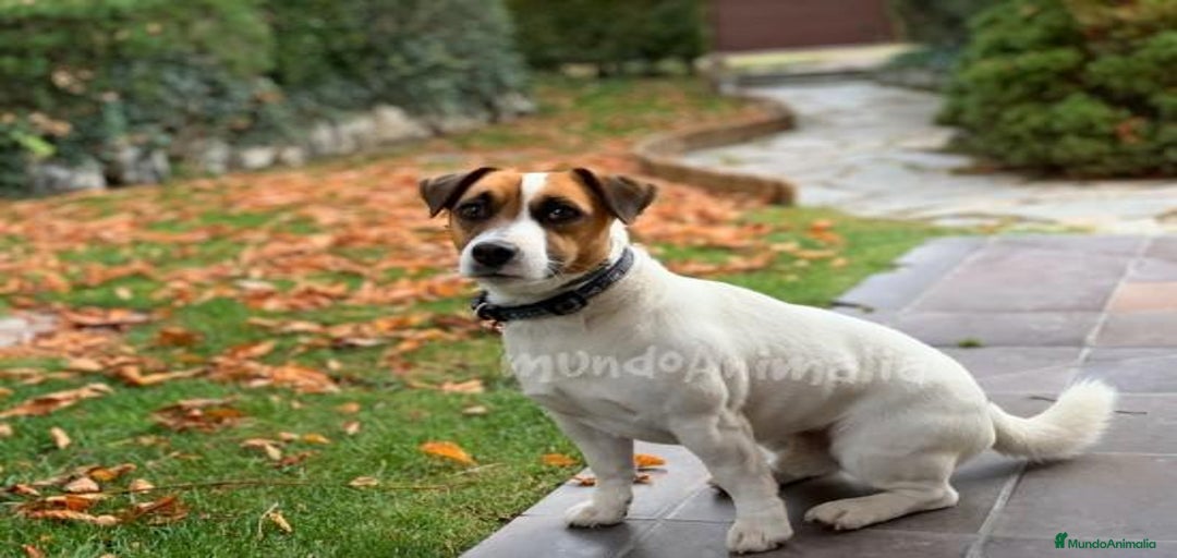 Imagen de galería {{count}}