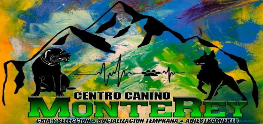 Imagen de galería {{count}}