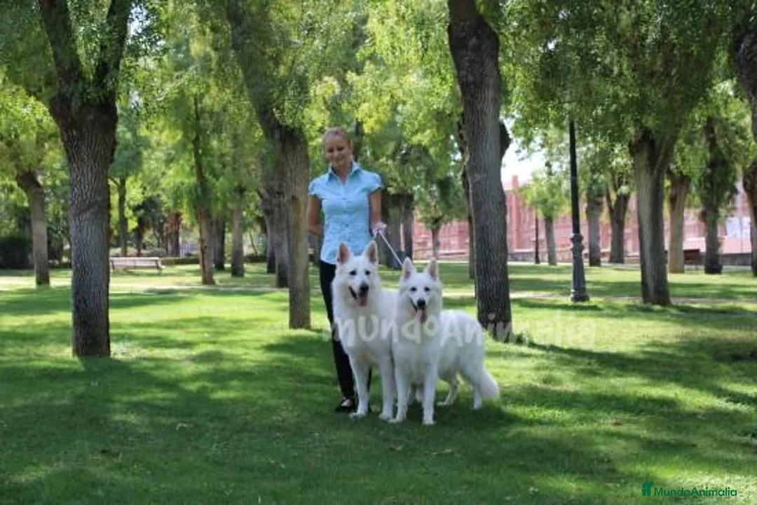 Imagen de galería {{count}}