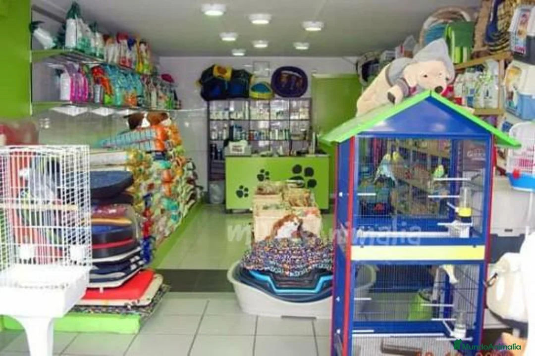 Imagen de galería {{count}}