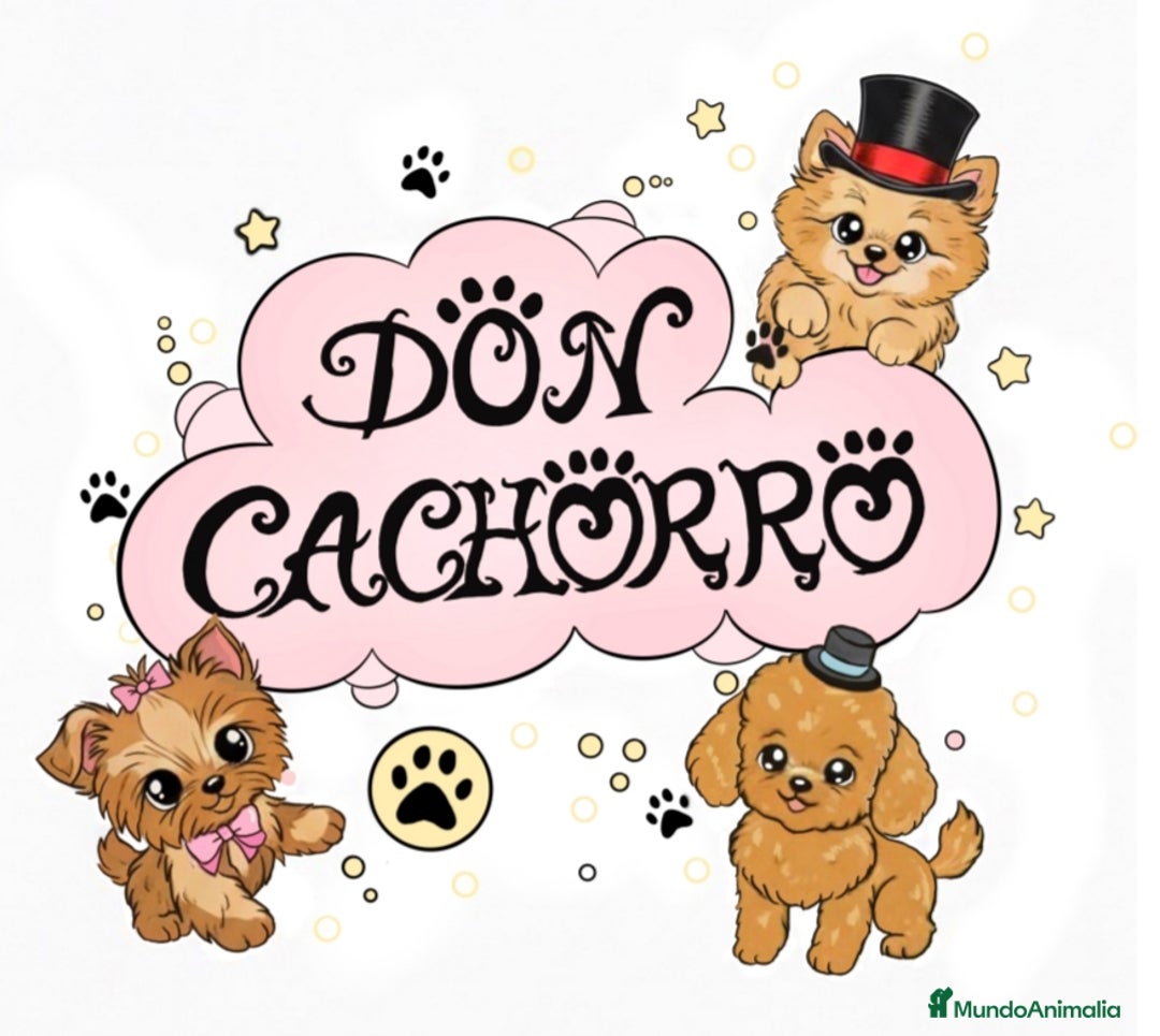 Imagen de galería {{count}}