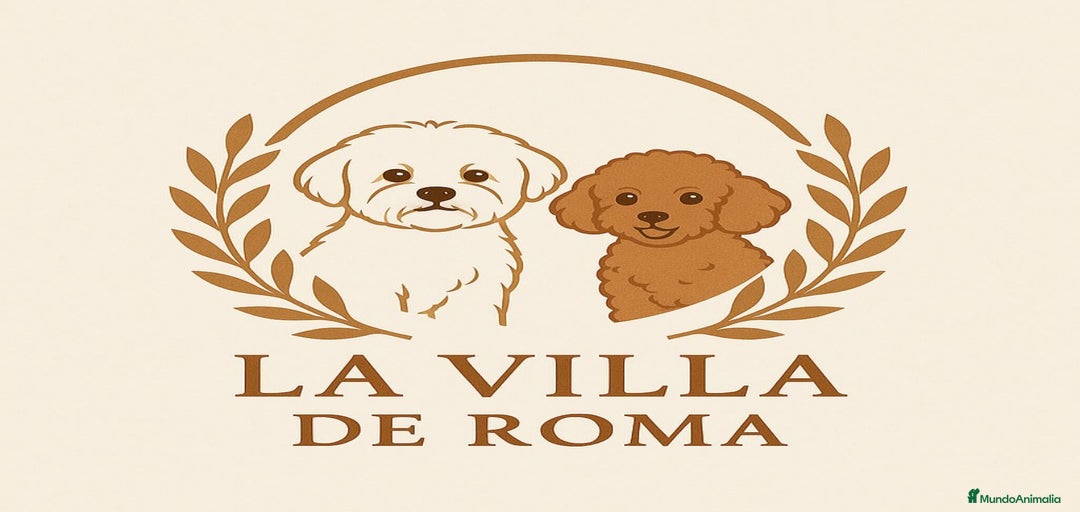 Imagen de galería {{count}}