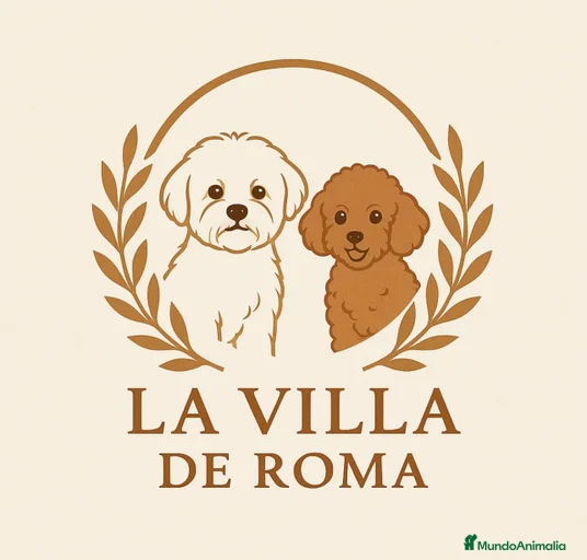 Imagen de galería {{count}}