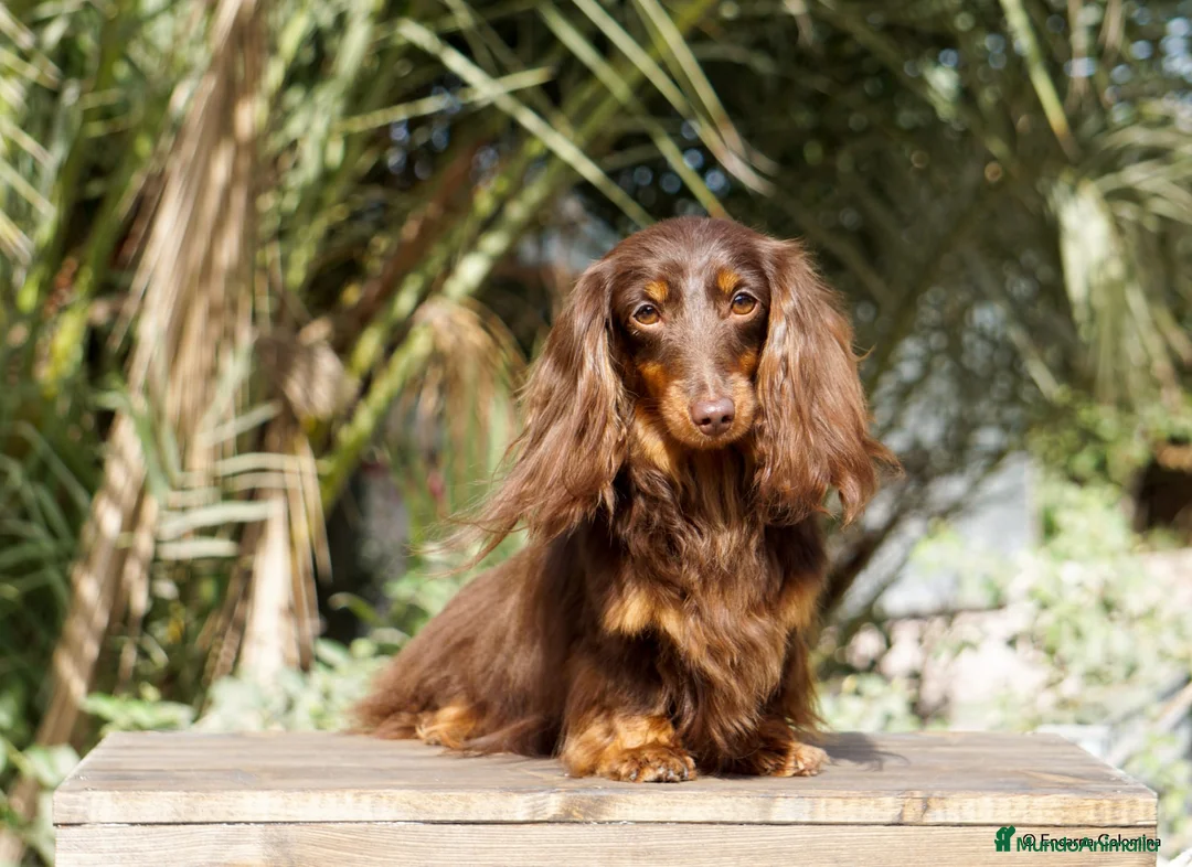 Imagen de galería {{count}}