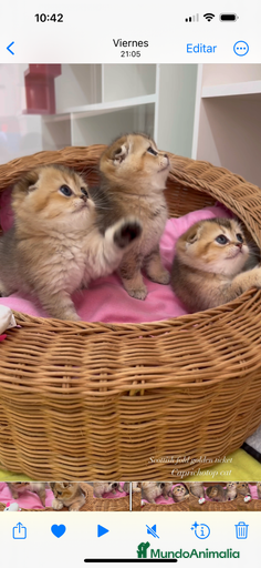 Imagen de galería {{count}}