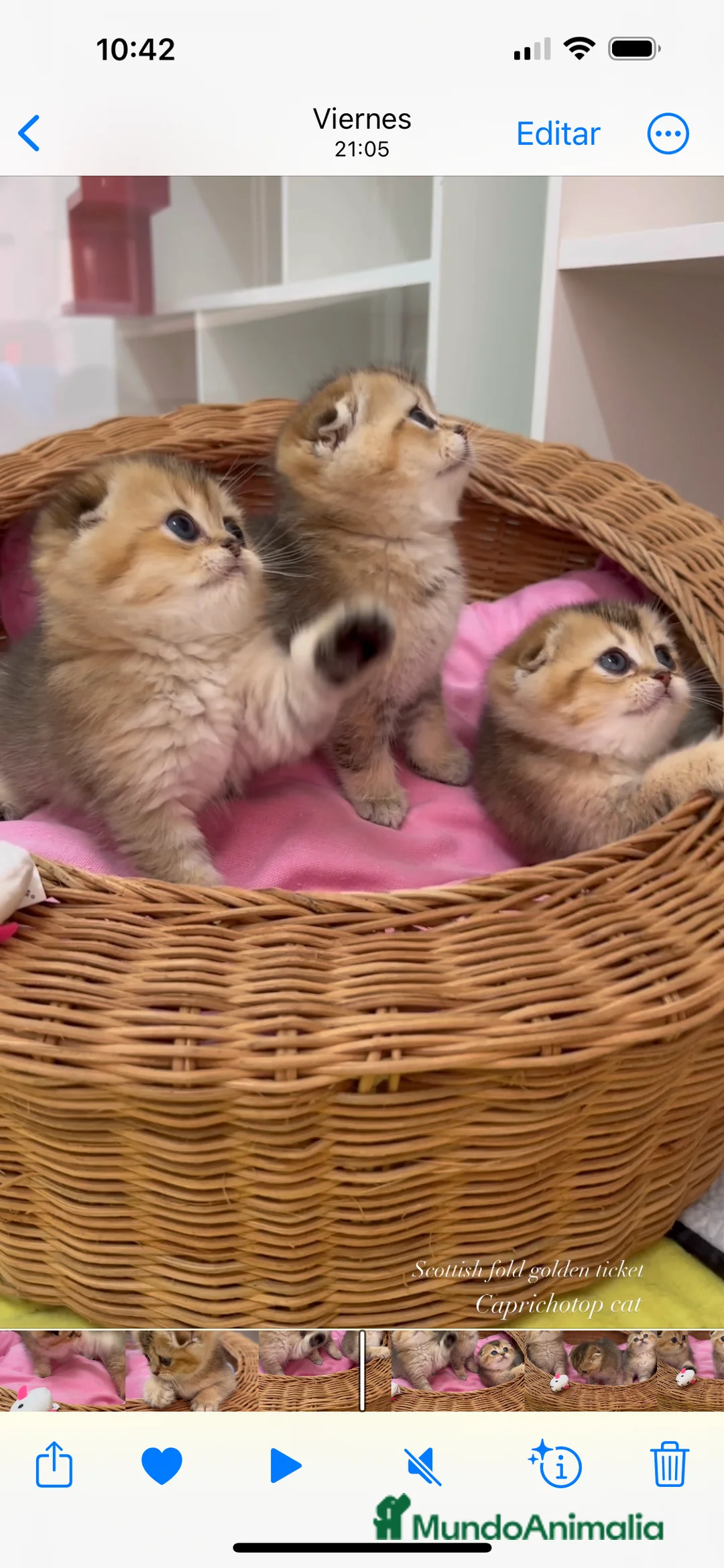 Imagen de galería {{count}}