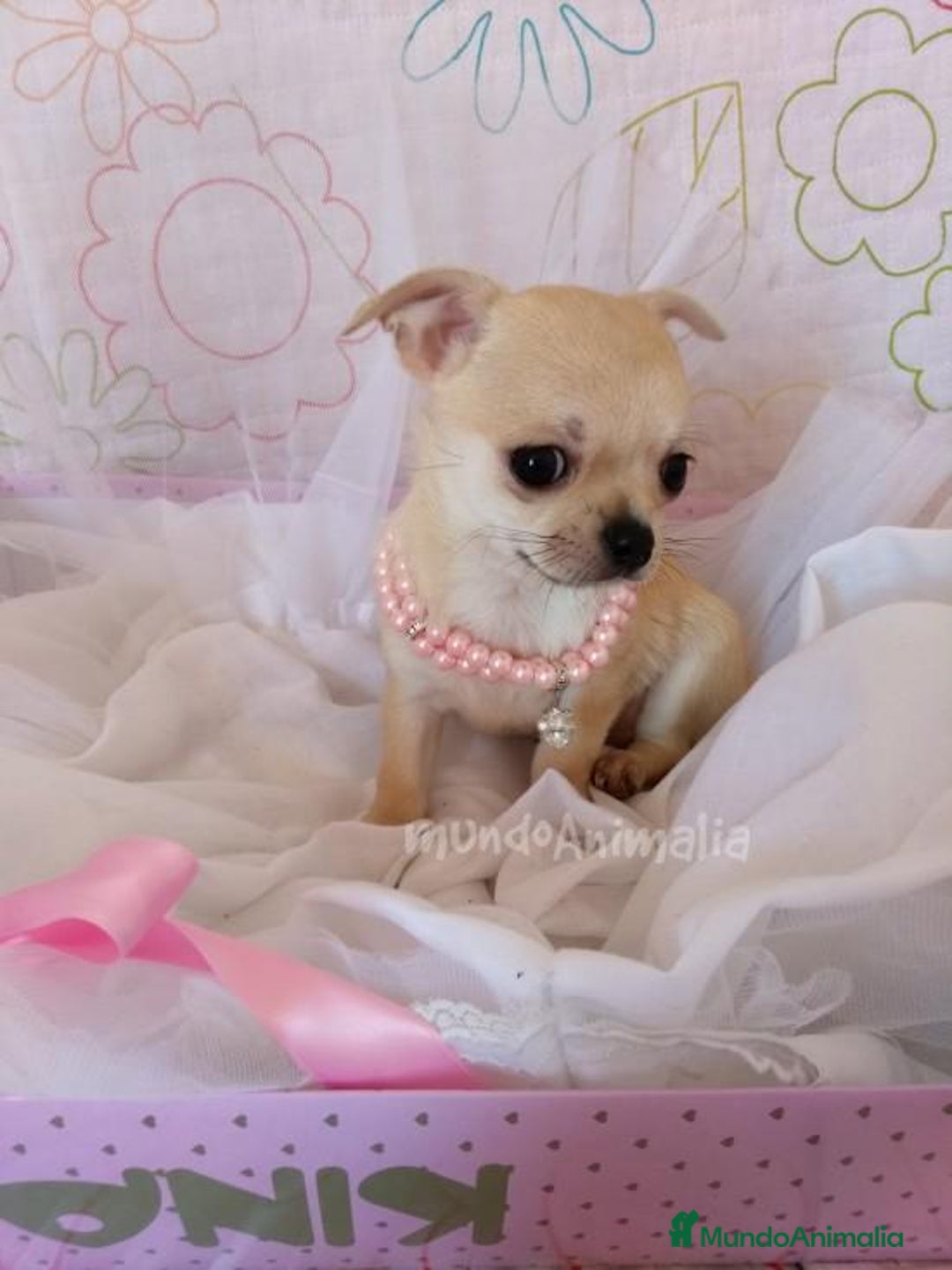 Imagen de galería {{count}}