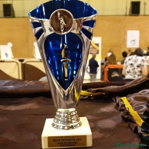 Imagen de galería {{count}}