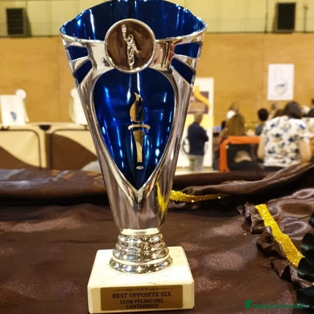 Imagen de galería {{count}}