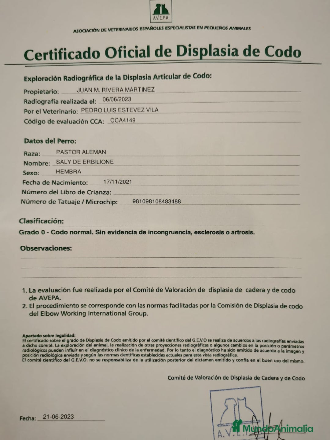 Pastor Alemán perros en venta: CACHORROS PASTOR ALEMÁN  - Anuncio 15