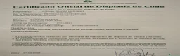 Pastor Alemán perros en venta: CACHORROS PASTOR ALEMÁN  - Anuncio 19