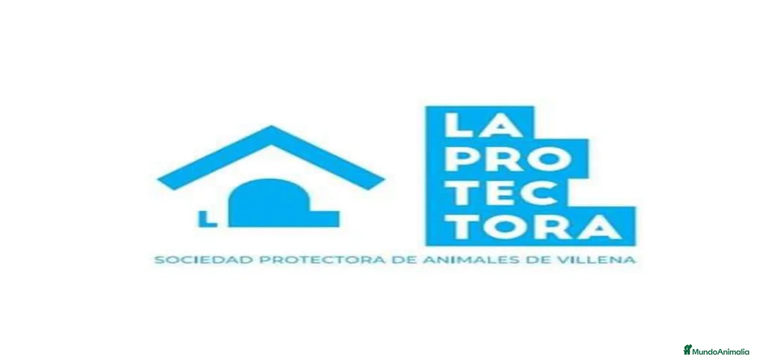 Imagen de galería {{count}}