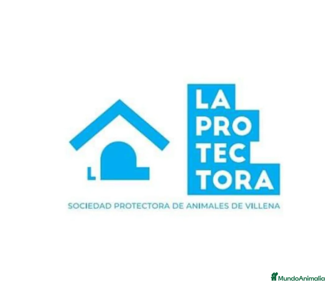 Imagen de galería {{count}}