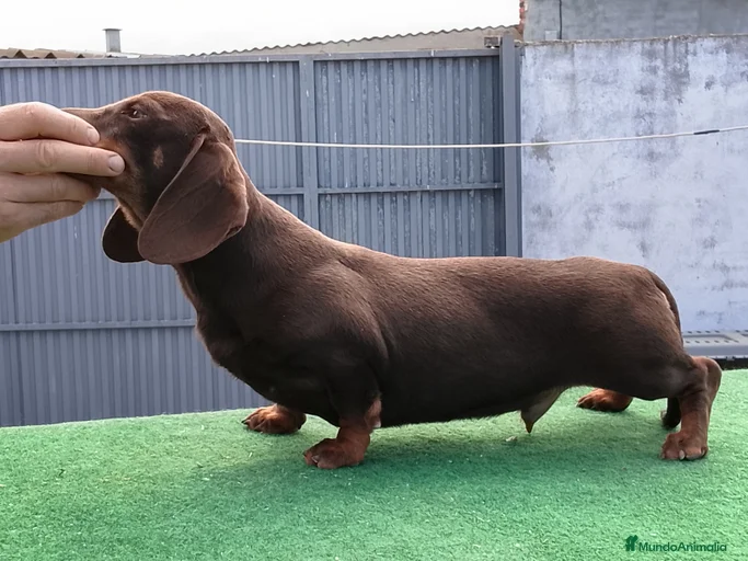 Imagen de galería {{count}}