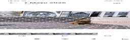 Caniche Gigante perros en venta: Caniches gigantes  - Anuncio 9