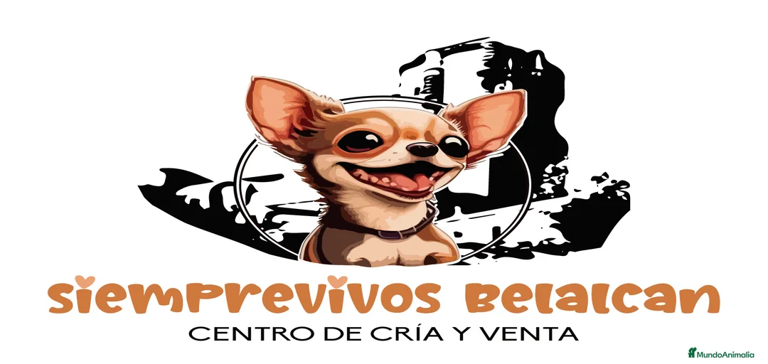 Imagen de galería {{count}}