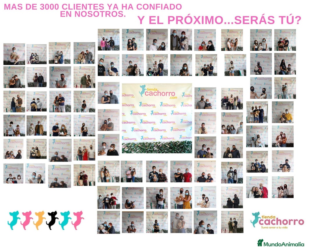 Imagen de galería {{count}}