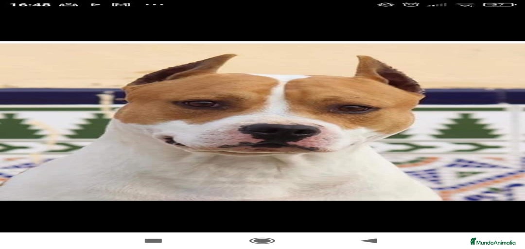 Imagen de galería {{count}}