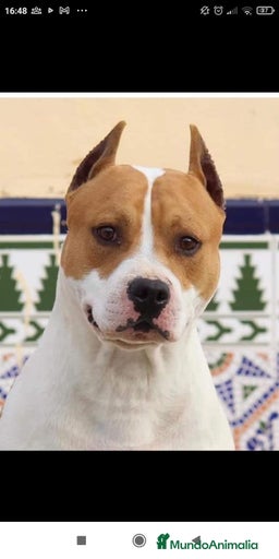 Imagen de galería {{count}}