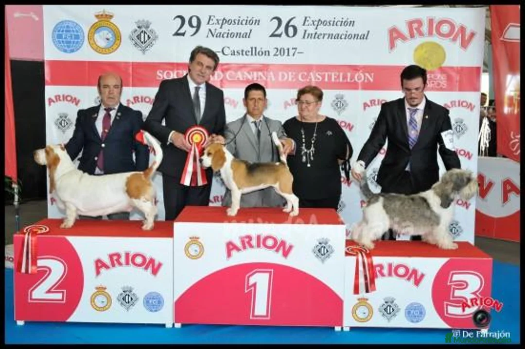 Imagen de galería {{count}}