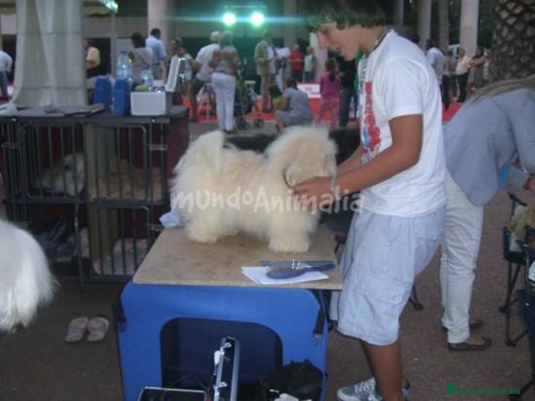 Imagen de galería {{count}}