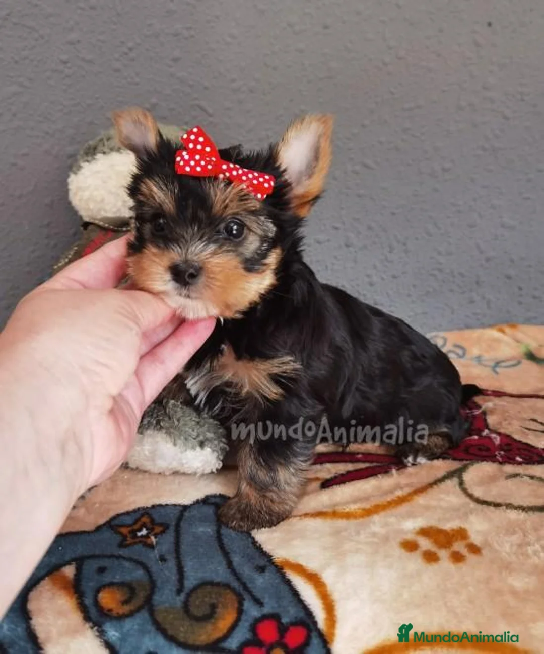 Imagen de galería {{count}}