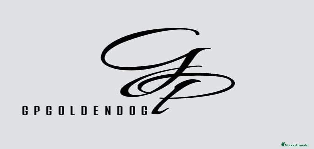 Imagen de galería {{count}}