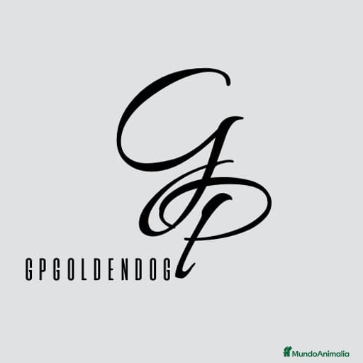 Imagen de galería {{count}}